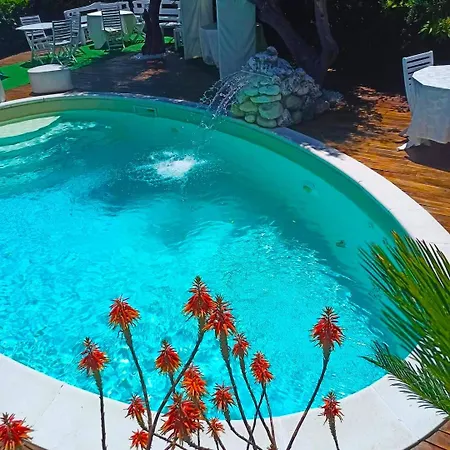 Alisea - In Con Piscina E Parcheggio Gratuito Montesilvano