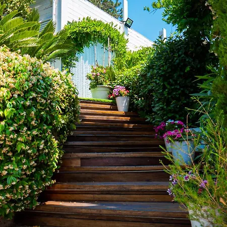 Séjour chez l'habitant Alisea - In Con Piscina E Parcheggio Gratuito Montesilvano Marina