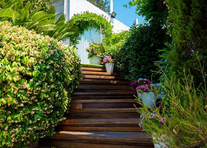 Rum i privatbostad Alisea - In Con Piscina E Parcheggio Gratuito Montesilvano Marina